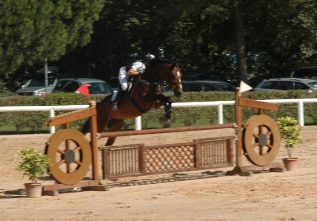 Preparazione atletica agonistica equestre